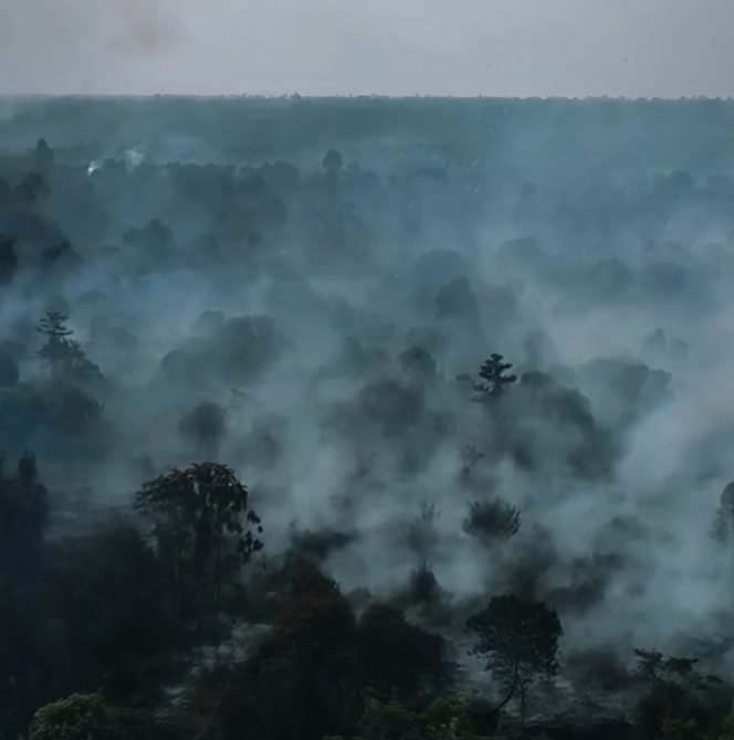 
					SIMPANG HILIR DAN PULAU MAYA JADI TITIK TERBANYAK KARHUTLA DI KAYONG UTARA